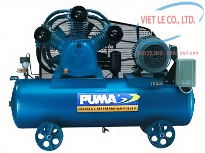 Máy nén khí Piston PUMA PK200-300